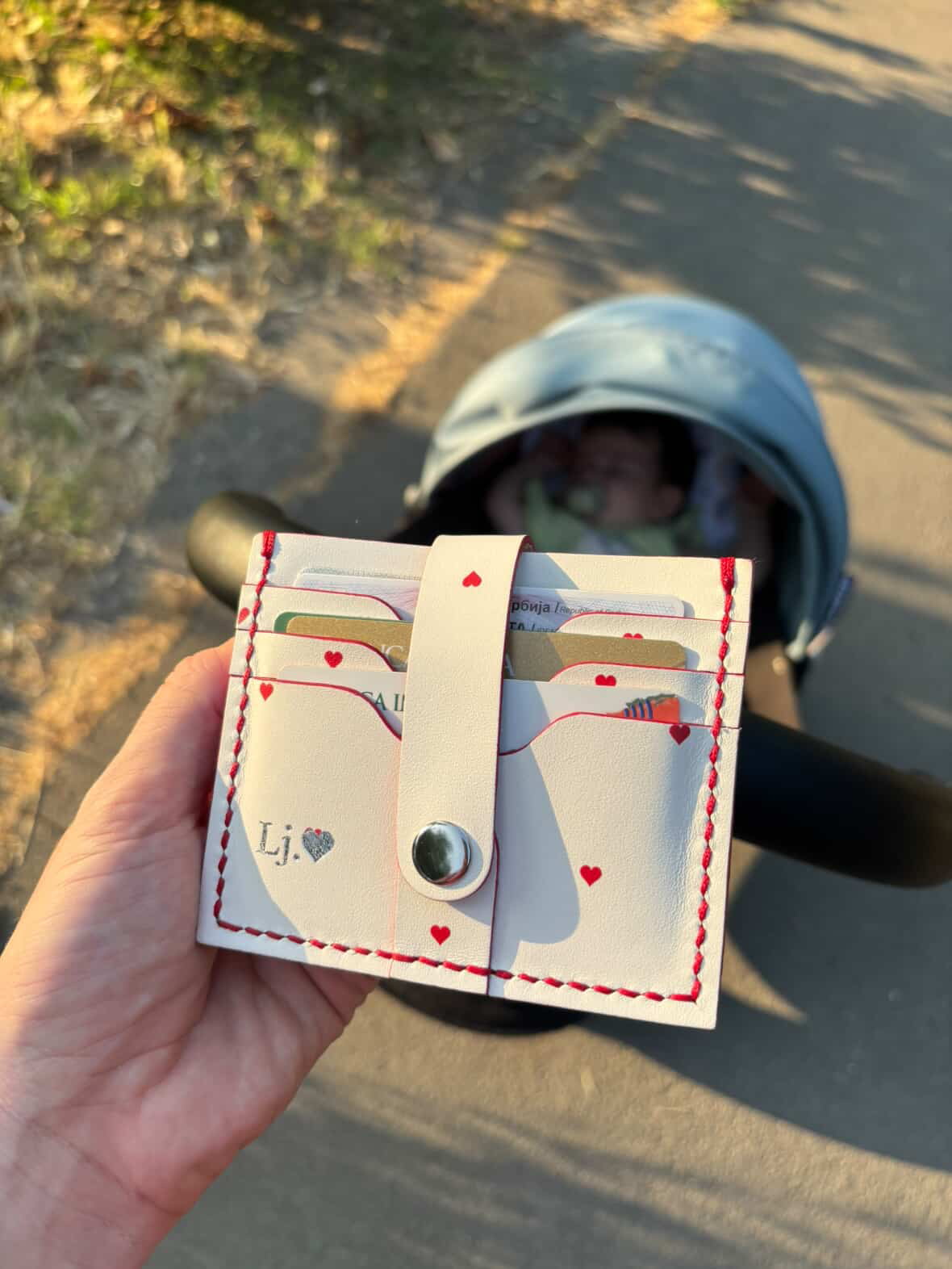 2025 baldago novcanik srca